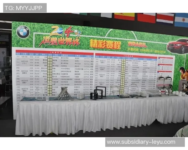 室内足球世界杯主管机构的职责与发展历程探讨